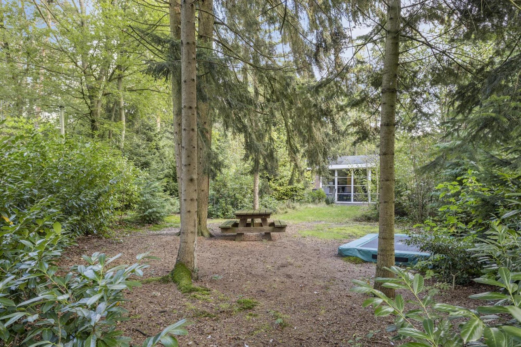 Relaxen In Het Bos Met Privesauna 霍尔顿 外观 照片